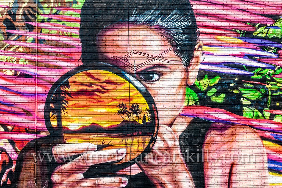 The large scale, incredibly vibrant mural titled Anos de Soledad was created by artists Mata Ruda, Nanook and Lunar New Year in 2015 as part of the 6th annual O+ festival in Kingston.