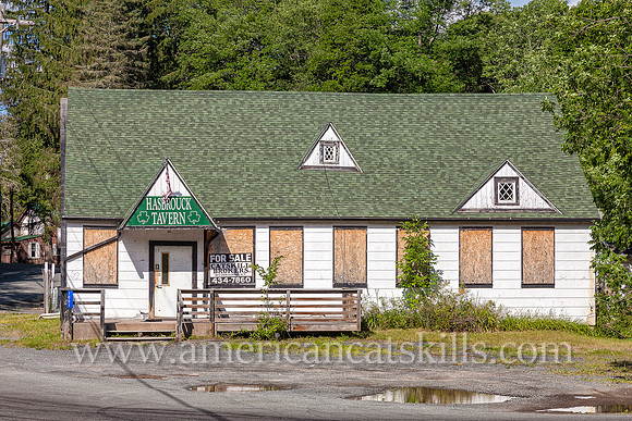 The Hasbrouck Tavern, located in the hamlet of Hasbrouck near the confluence of the Wynkoop Brook and the Neversink River, was constructed by Sam Silverstein circa the 1940s.