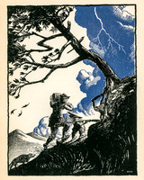 They Clambered Up a Narrow Gully