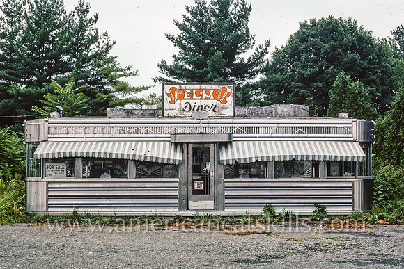 Elm Diner, Route 32, Kingston, New York