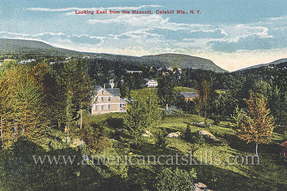Looking East from the Mascott, Catskill Mts., N. Y.