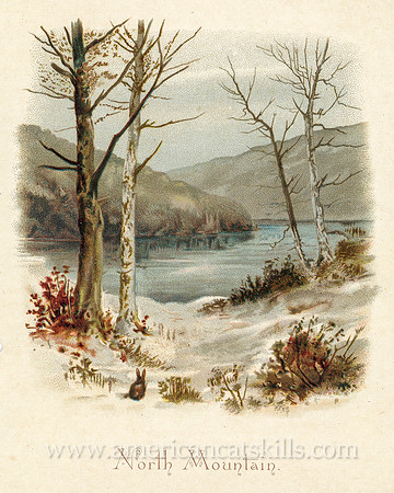 The beautiful pictorial book titled Mountain Echoes Through the Catskills was published by Wolf and Company located in Philadelphia, Pennsylvania.