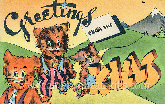 Vintage postcard titled “Greetings from the Catskills” that depict three good-looking cats in fancy clothes move along on roller skates as they make their way to the Catskills.
