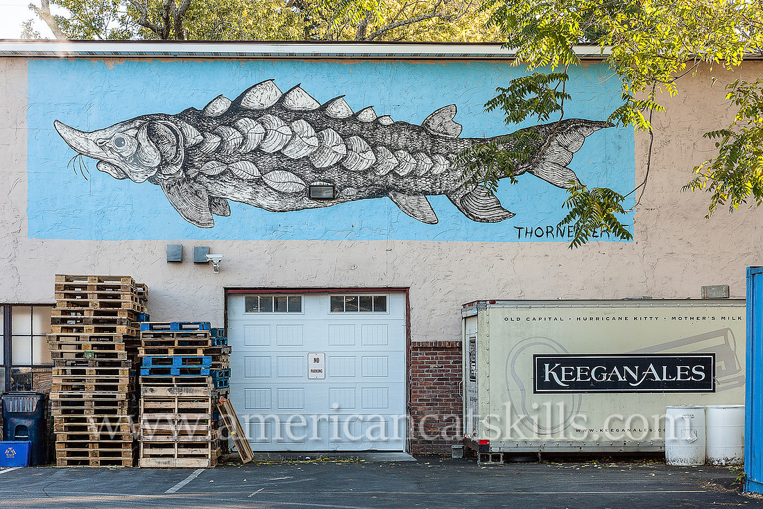 Mural of the Atlantic Sturgeon at Keegan Ales in Kingston, Ulster County created by Will Lytle, artist and owner of Thorneater Comics.