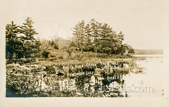 Vintage postcard titled "Rice's Pine Grove, Fowlwood Lake, Rock Hill, N. Y." by photographer E. A. Koonz.