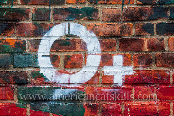 The O+ (positive) festival is a 3-day event in Kingston where artists and musicians exchange their participation for basic health care, dental and wellness services.
