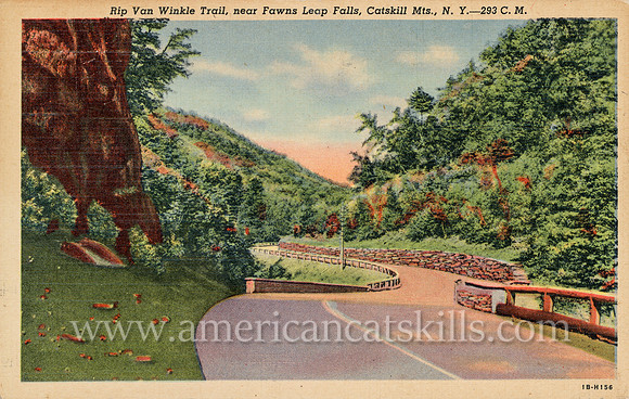 Rip Van Winkle Trail, near Fawns Leap Falls, Catskill Mts., N.Y.