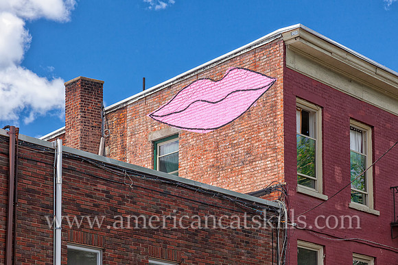 The Stockade District mural titled “SWAK” was created during the 2015 and 6th annual O+ Festival by artist and graphic designer Keith Carollo.