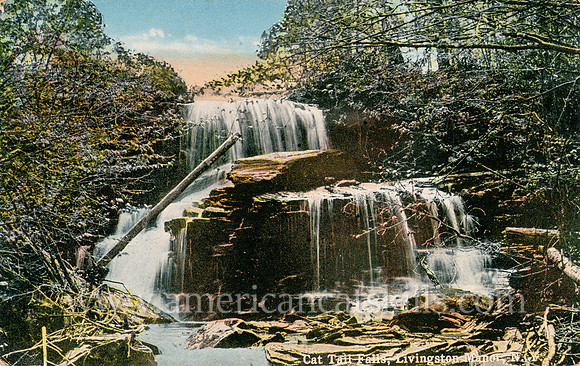 Vintage postcard titled "Cat Tail Falls, Livingston Manor, N. Y." published by photographer Otto Hillig of Liberty, New York.