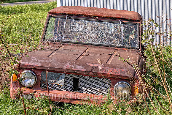 Needs Paint