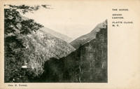 Postcard titled "The Gorge, Grand Canyon, Platte Clove, N.Y." published by photographer George S. Young.