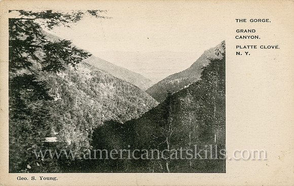 Postcard titled "The Gorge, Grand Canyon, Platte Clove, N.Y." published by photographer George S. Young.