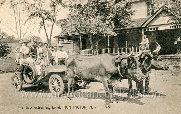 Vintage photograph titled "The Two Extremes, Lake Huntington, N. Y." showing two bulls standing in front of a car.