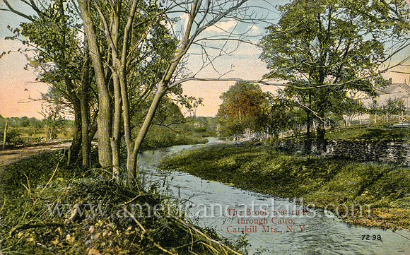 The Brook that runs through Cairo, Catskill Mts., N. Y.