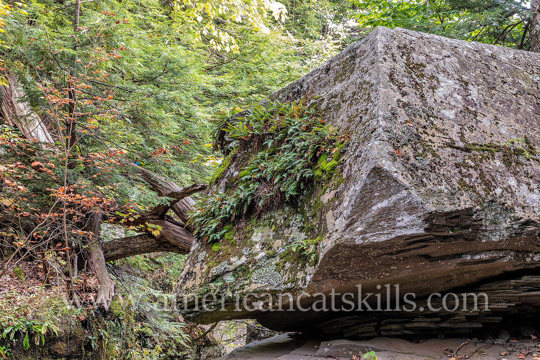 Hell Hole Falls is a scenic waterfall located within the dramatic Plattekill Clove in the northern Catskills.