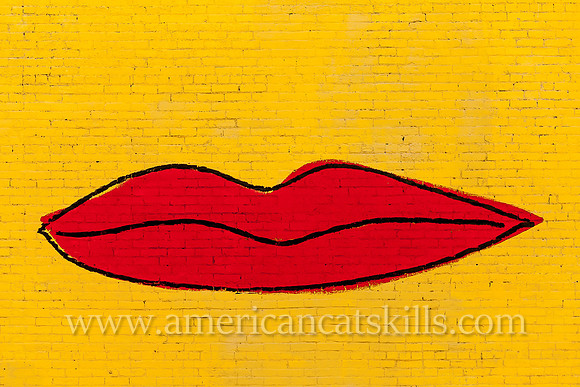 The Stockade District mural titled “SWAK” was created during the 2015 and 6th annual O+ Festival by artist and graphic designer Keith Carollo.
