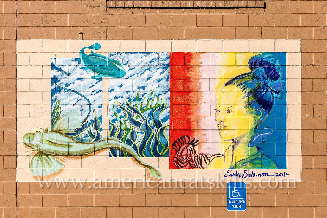 The mural titled “M’YMCA” adorns the YMCA building in Kingston, New York; and was created by Woodstock artist Julia Santos Solomon.
