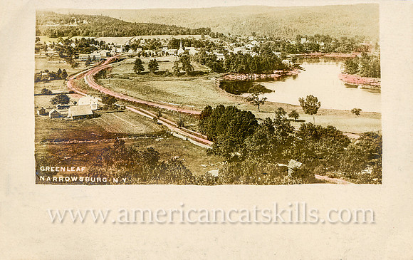 Vintage postcard titled "Narrowsburg, N. Y." published by photographer W. D. Greenleaf of Narrowsburg, New York.