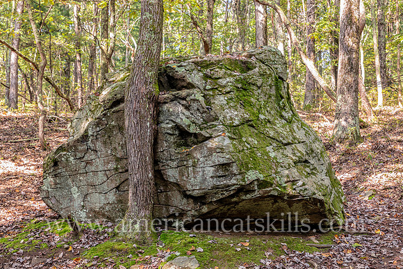 The Battle of Minisink Ford took place during the American Revolution on July 22, 1779. Sentinel Rock is where British troops launched their final attack on the American militia.
