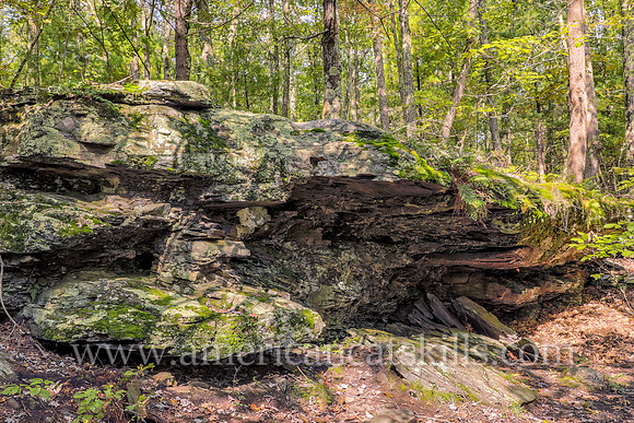 The Battle of Minisink Ford took place during the American Revolution on July 22, 1779. Hospital Rock is where the American wounded were being cared for, and eventually killed after British forces bro