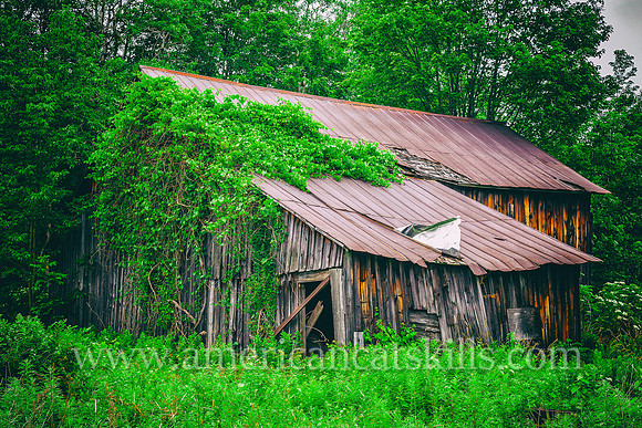 An abandoned barn that is overgrown with vines located in the small hamlet Hales Eddy in the town of Deposit, Delaware County, New York.