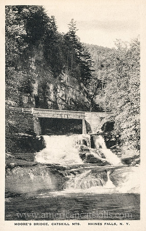 Moore's Bridge, Catskill Mts., Haines Falls, N. Y.