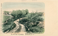Vintage postcard titled "On the way to Brophys, Hurleyville, N. Y." published by the photographic firm of Laidlaw and Wood of Hurleyville, New York.