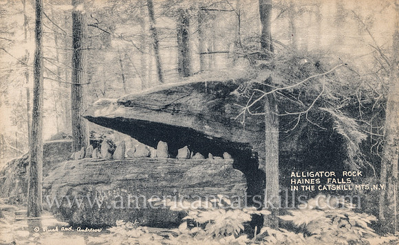 Alligator Rock, Haines Falls in the Catskill Mts., N. Y.