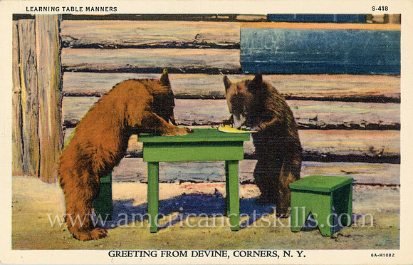 Learning Table Manners, Greeting from Divine Corners, N. Y.