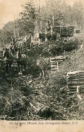 Vintage postcard titled "On to Their Wood Job, Livingston Manor, N. Y." showing men hauling logs on wagons down the mountain side.