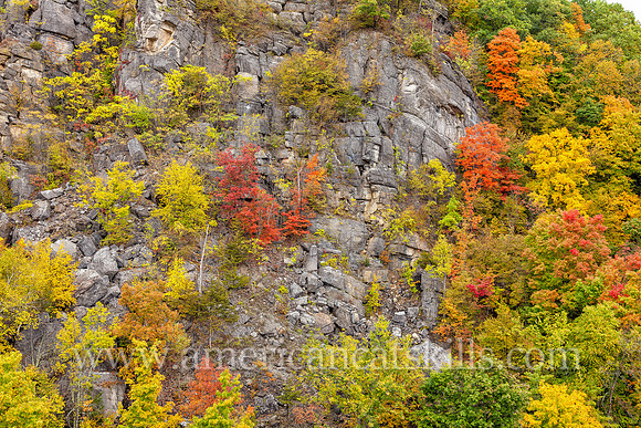 This beautiful fall foliage scene in Rosendale takes in the cliffs of 500-foot Joppenbergh Mountain as it blooms with vibrant orange, red, green and yellow colors.