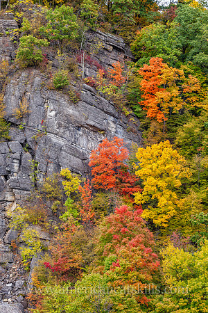 This beautiful fall foliage scene in Rosendale takes in the cliffs of 500-foot Joppenbergh Mountain as it blooms with vibrant orange, red, green and yellow colors.