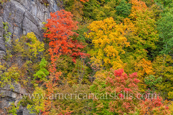 This beautiful fall foliage scene in Rosendale takes in the cliffs of 500-foot Joppenbergh Mountain as it blooms with vibrant orange, red, green and yellow colors.