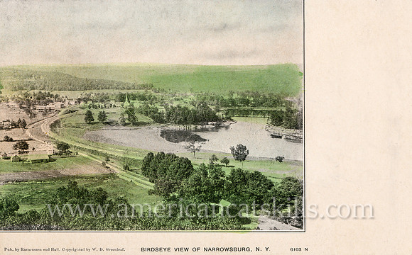 Vintage postcard titled "Birdseye View of Narrowsburg, N. Y." published by photographer W. D. Greenleaf of Narrowsburg, New York.