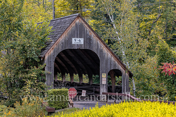 Photograph of Friendship Manor Covered Bridge, also known as Pine Hill Covered Bridge, located in Pine Hill in the central Catskills.