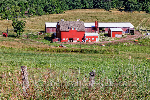 Photo of a farm and barns at the hamlet of Callicoon.