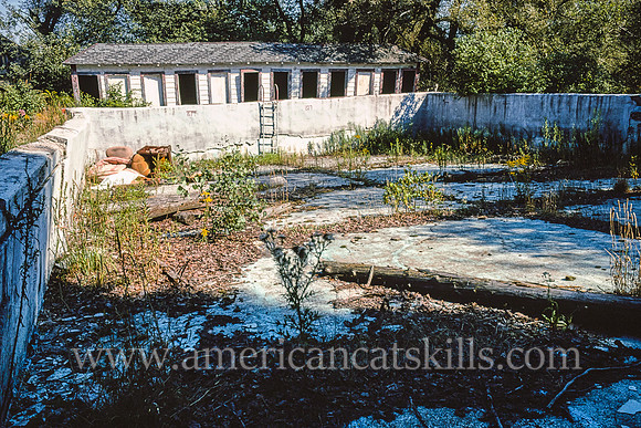 Willow Lane Hotel, pool, Monticello, New York (1)