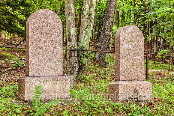 Grave site for John Davidson, builder of the Bendo Covered Bridge, the Livingston Manor Covered Bridge and the Beaverkill Covered Bridge.