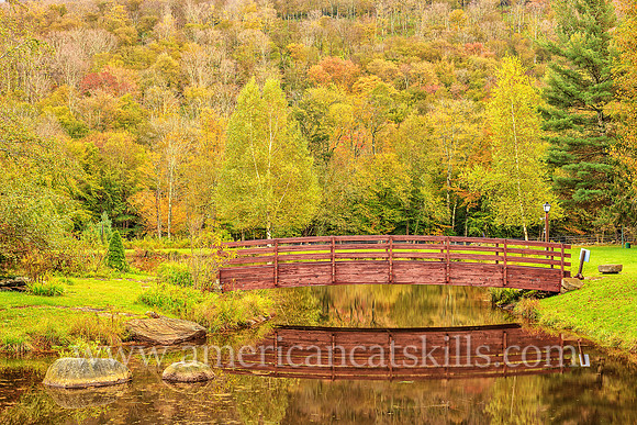 The Frost Valley YMCA property includes over 6,000 acres of forests, rivers, waterfalls, mountain views, ponds, and much more.