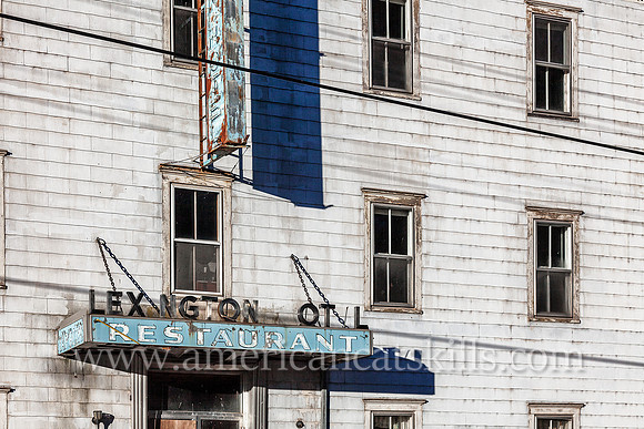 The now abandoned Lexington Hotel, originally known as the Monroe House, is pleasantly situated on the banks of the Schoharie Creek in the quaint hamlet of Lexington.