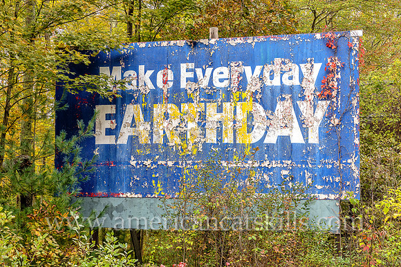 An old, decaying and overgrown billboard stands by an Ellenville, Ulster County highway proclaiming that we should all “Make Every Day Earth Day.”