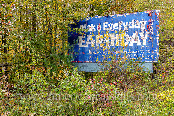 An old, decaying and overgrown billboard stands by an Ellenville, Ulster County highway proclaiming that we should all “Make Every Day Earth Day.”