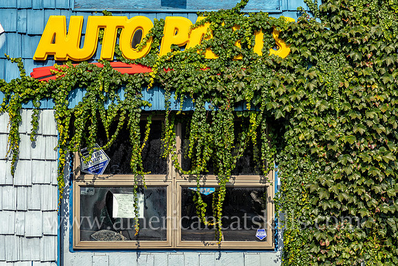 Abandoned auto parts store in Narrowsburg with vines growing over the side and front of the building; former Napa Auto Parts store.