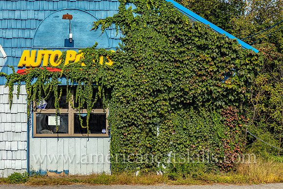 Abandoned auto parts store in Narrowsburg with vines growing over the side and front of the building; former Napa Auto Parts store.