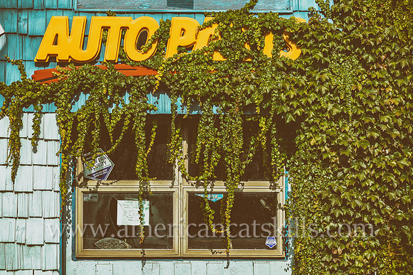 Abandoned auto parts store in Narrowsburg with vines growing over the side and front of the building; former Napa Auto Parts store.