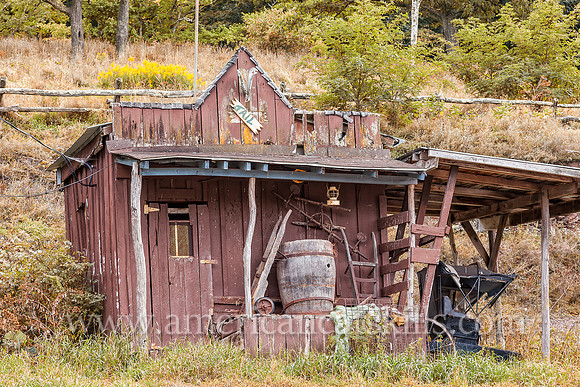 The long-abandoned Tanglewood Ranch in the Greene County village of Cornwallville was once a seasonal tourist attraction that offered pony and trail rides, horseback riding and horse drawn hay rides.