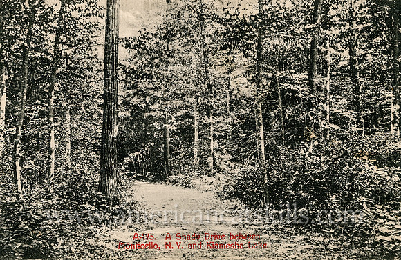 A Shady Drive between Monticello, N.Y. and Kiamesha Lake