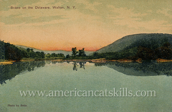 Scene on the Delaware, Walton, N.Y.