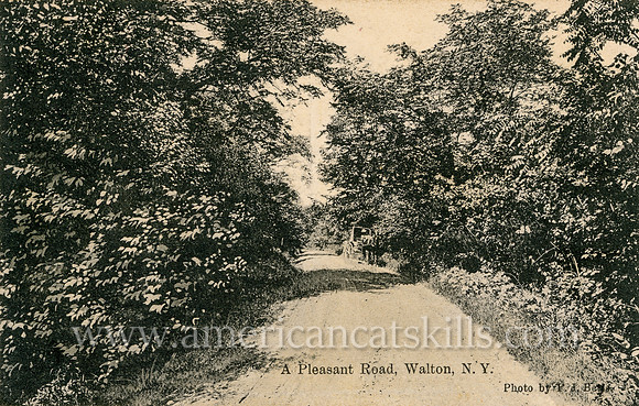A Pleasant Road, Walton, N.Y.