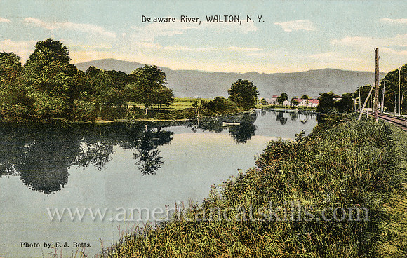 Delaware River, Walton, N.Y.